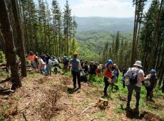 Екип Синьо на ОББ и ДЗИ направи Витоша по-зелена