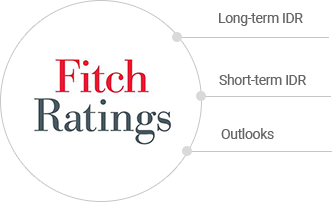 Fitch Rating